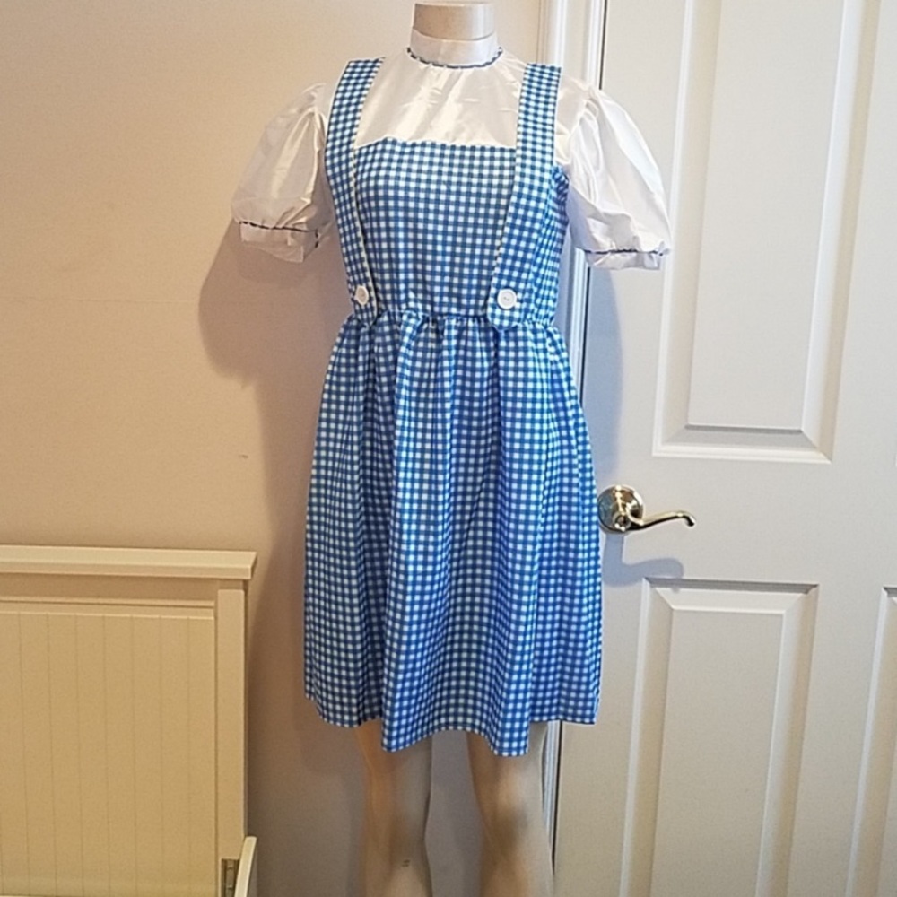 Dorothy Halloween Custom Blue white Large.